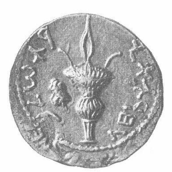 Bar Kochba Coin