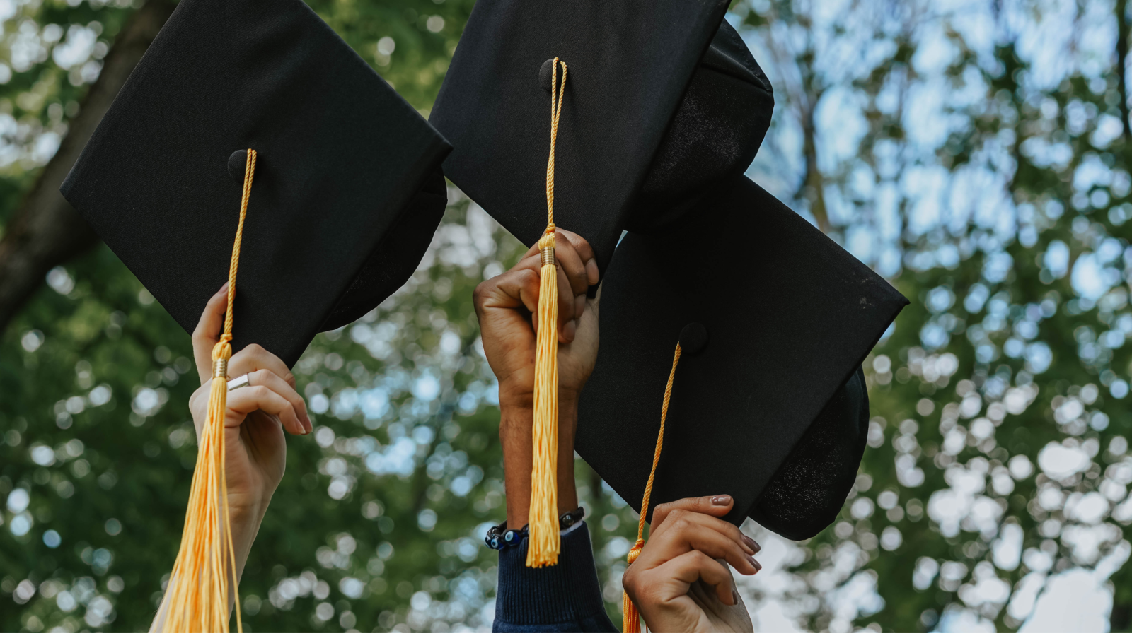 three hands holding graduation caps