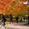 CU Campus in fall