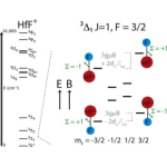 Broadband velocity modulation spectroscopy of HfF+: Towards a measurement of the electron electric dipole moment
