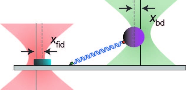Surface Trap