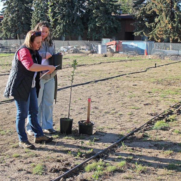 Amy Dunbar-Wallis (left) and Tiffany Willis (right, EBio'22) consult a chart designating where each tree would be planted in the new apple orchard in front of the 30th Street greenhouse Saturday morning. Willis, who lives in Boulder, took EBIO 1250 online during Covid lockdowns and was a lab assistant for the class in 2021.