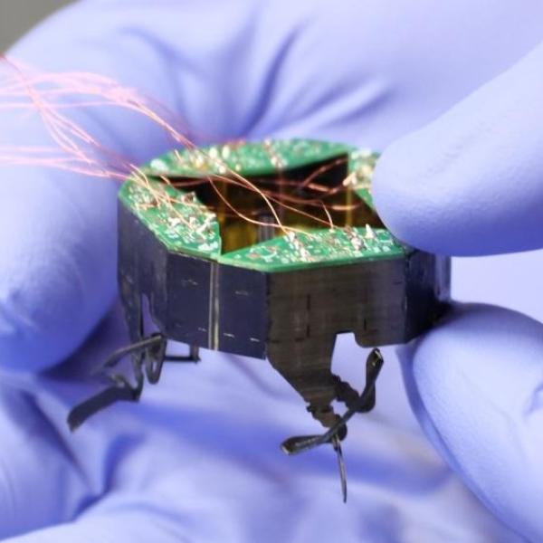 Kaushik Jayaram and his colleagues debuted a small, shapeshifting robot named CLARI in 2023. The team later designed an even smaller model called mCLARI. (Credit: Casey Cass/CU Boulder)
