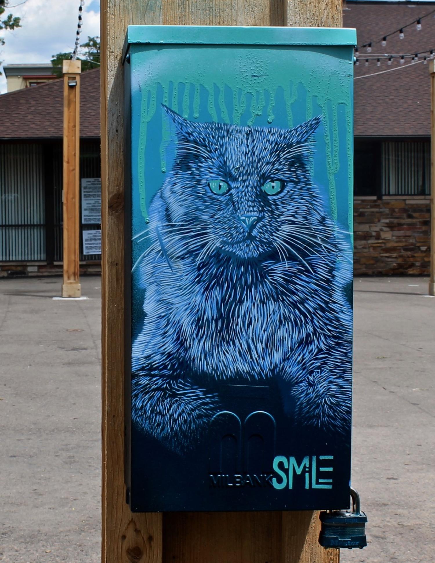 Street Art by SMiLE in Boulder, Colorado