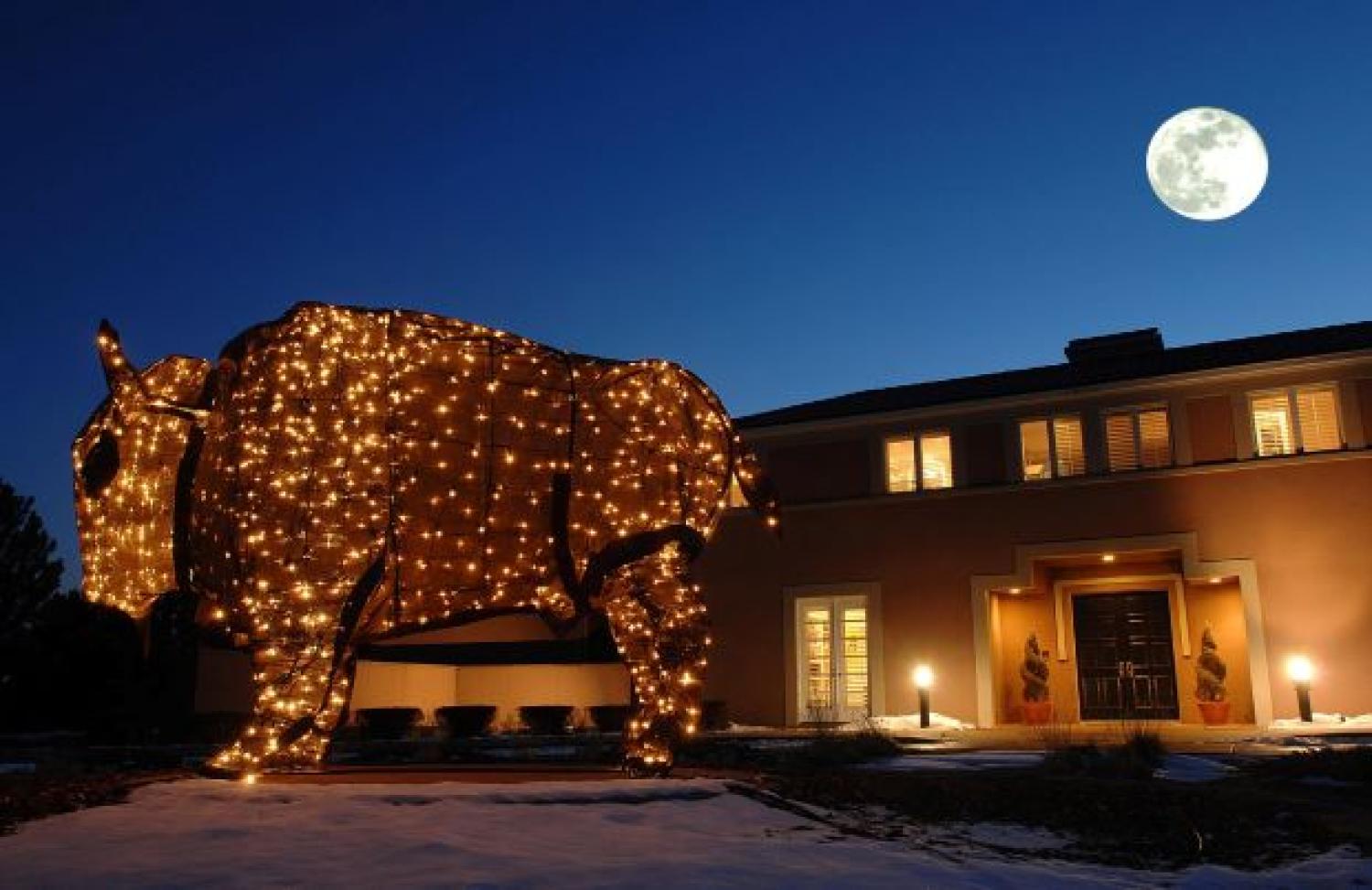 Ralphie Statue in holiday lights