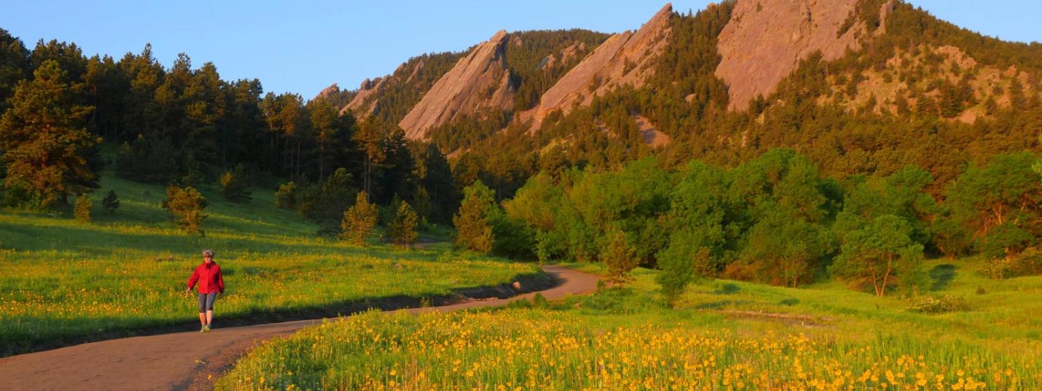 The majestic Flatirons at sunrise from Chautauqua Park in Boulder. (Photo by Casey A. Cass/University of Colorado)