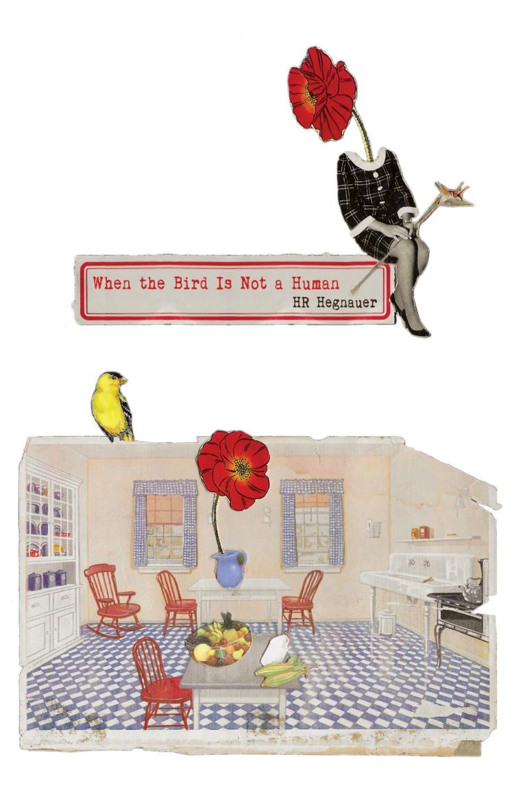When the Bird Is Not a Human - HR Hegnauer front cover