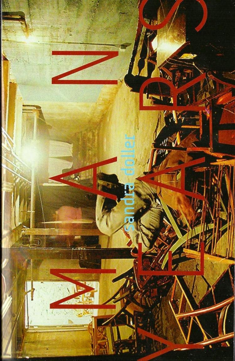 Man Years - Sandra Doller front cover