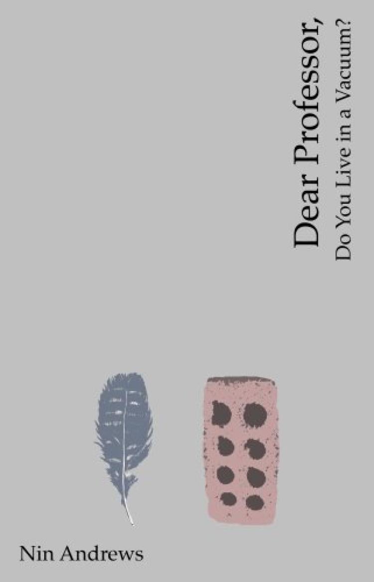 Dear Professor, Do You Live in a Vacuum? - Nin Andrews