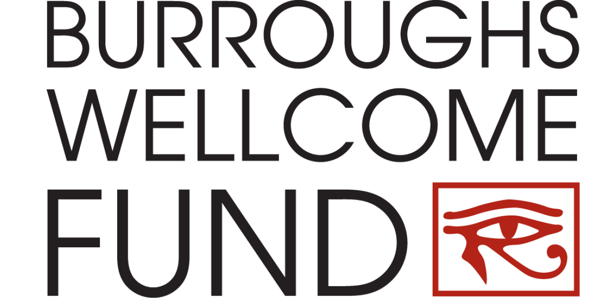BWF Logo