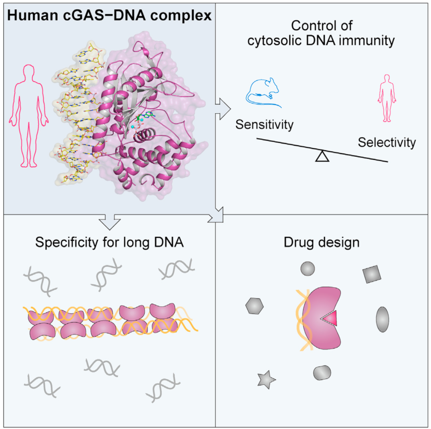 Graphical Abstract
