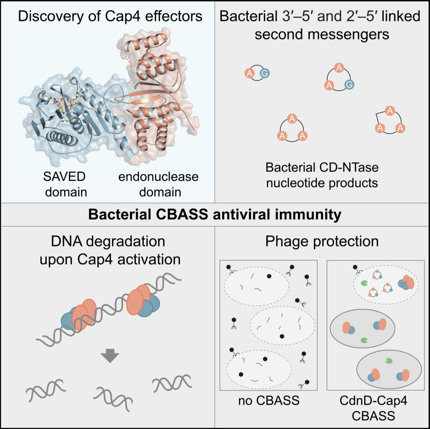 Graphical Abstract