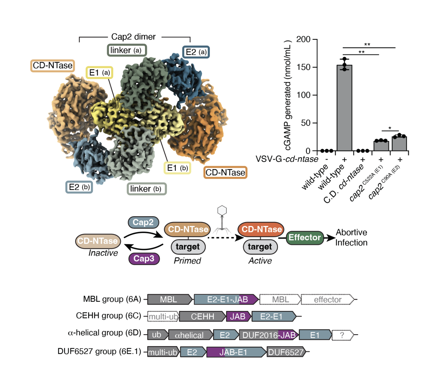 Ledvina and Ye et al Nature 2023