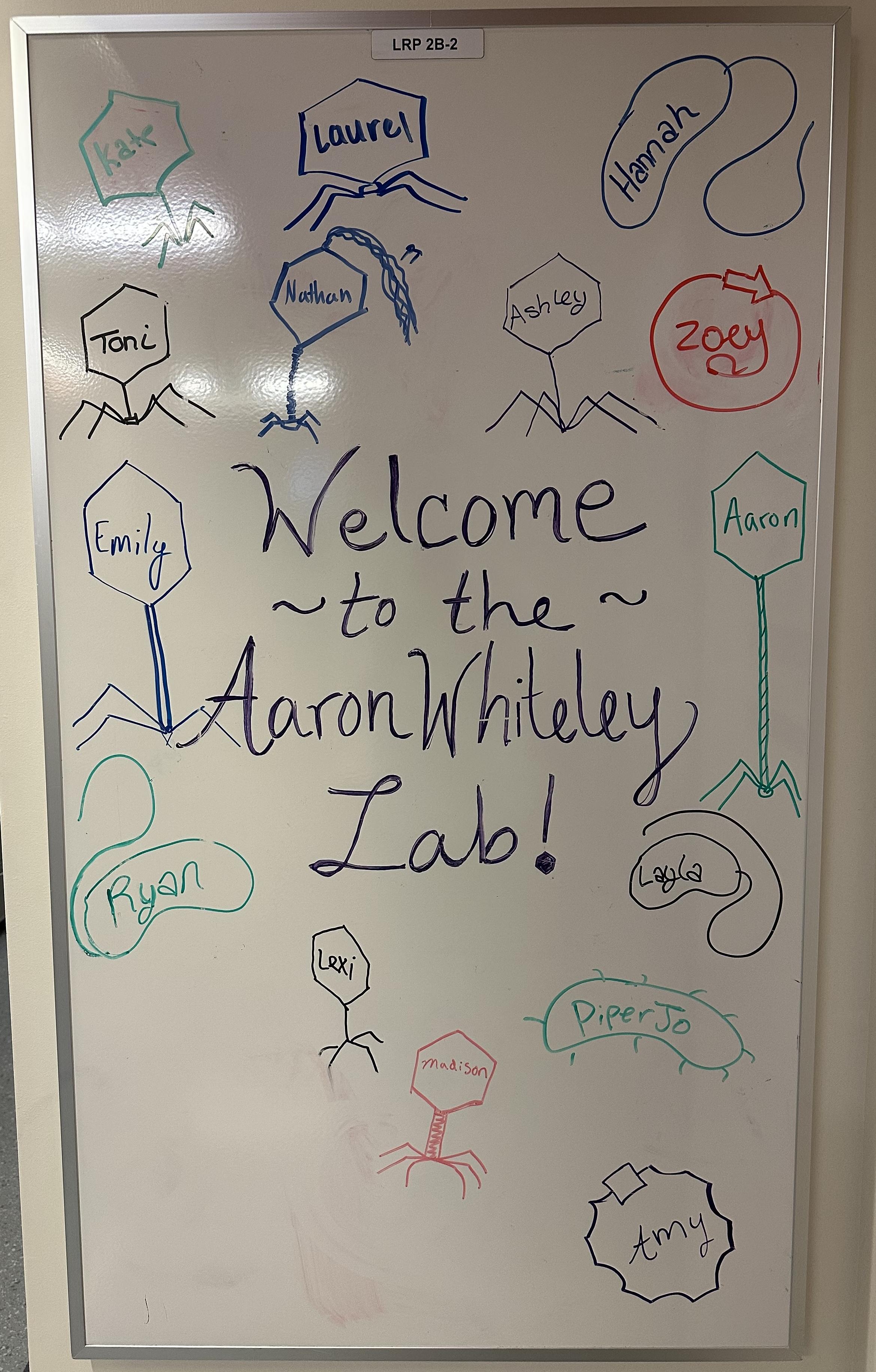 20250411 Lab Whiteboard