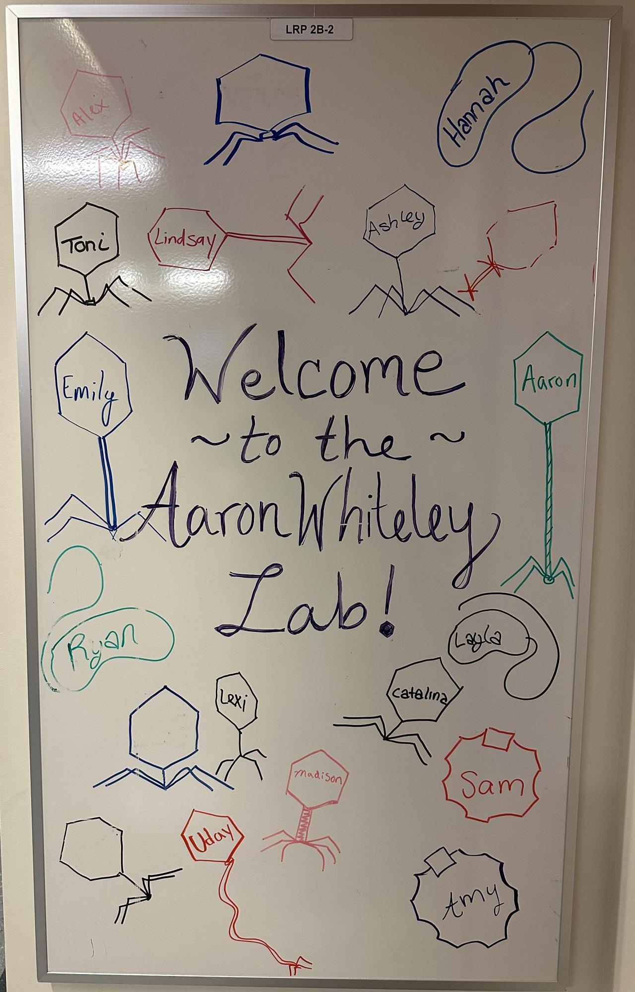 20240509 Lab Whiteboard