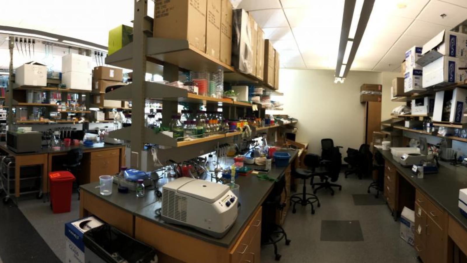 The Aaron Whiteley Lab 2021