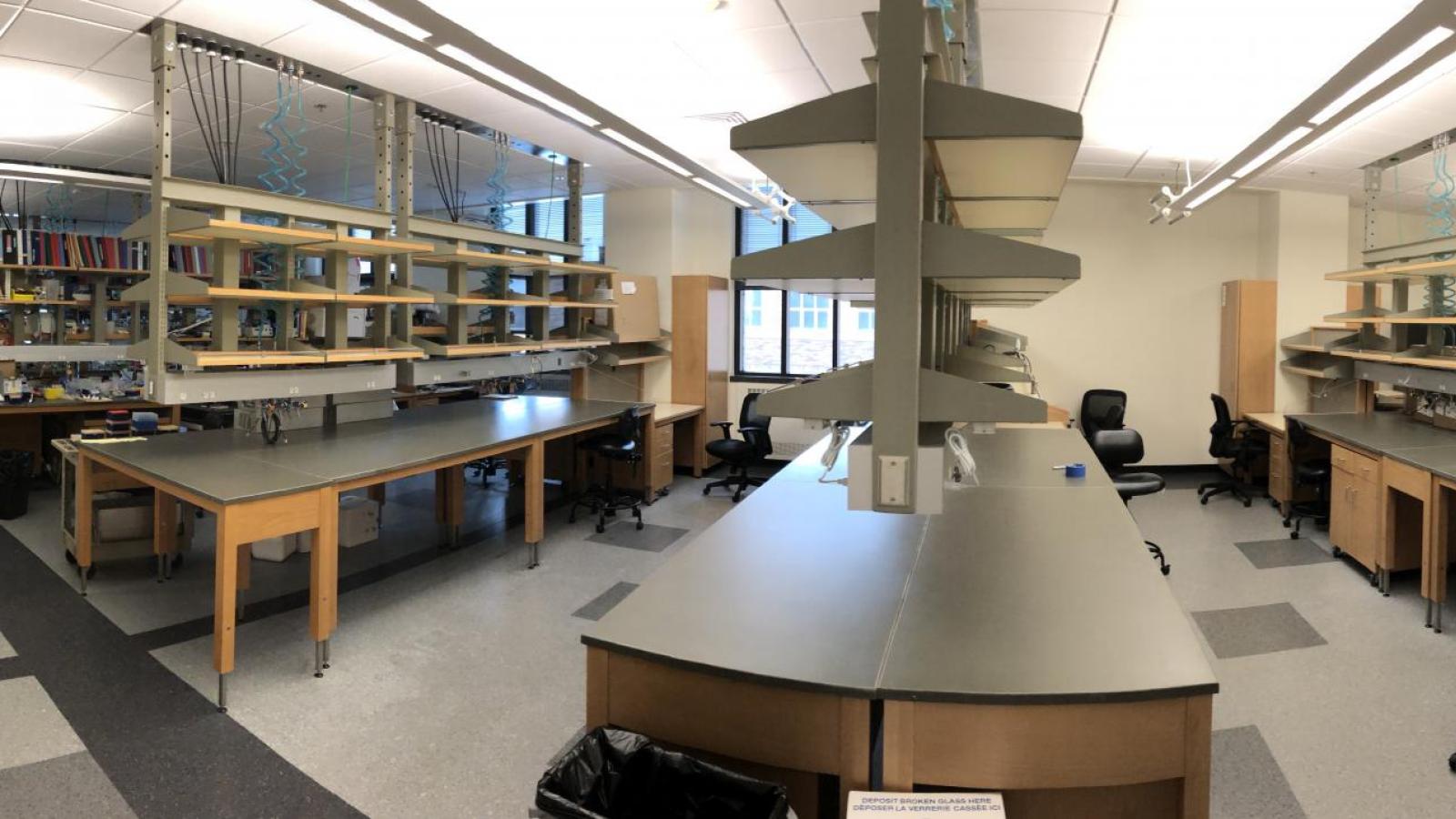 The Aaron Whiteley Lab 2020