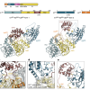 Chambers and Ye et al. 2024 Thumbnail
