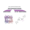 Panoptes System Thumbnail