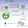Graphical Abstract