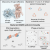 Graphical Abstract