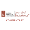 JB Commentary