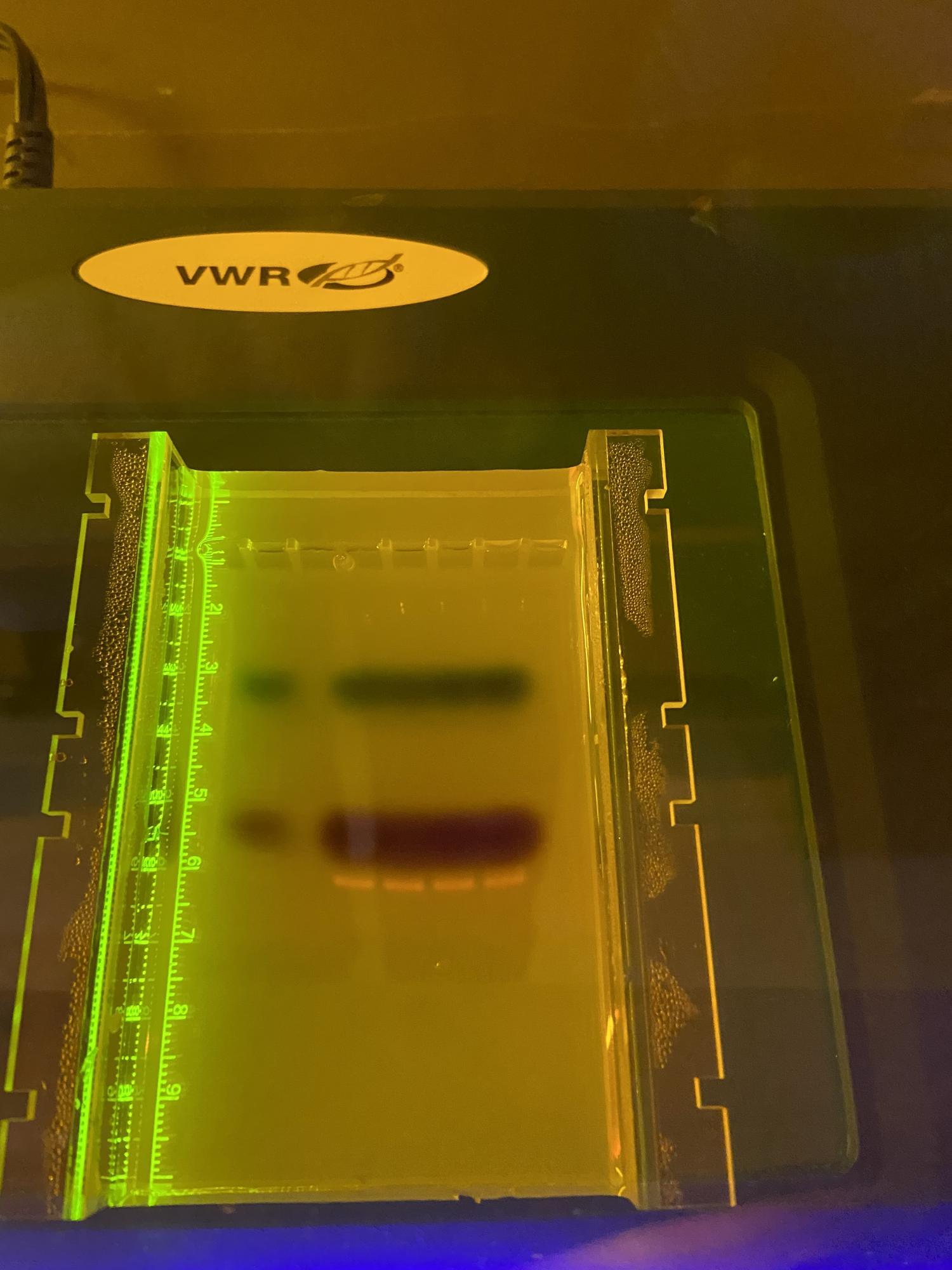 pcr