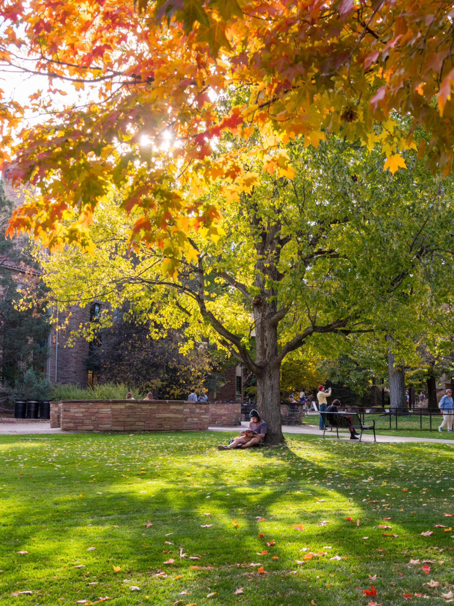 fall
