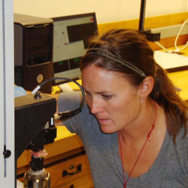 Allison testing tissue in uniaxial platform.