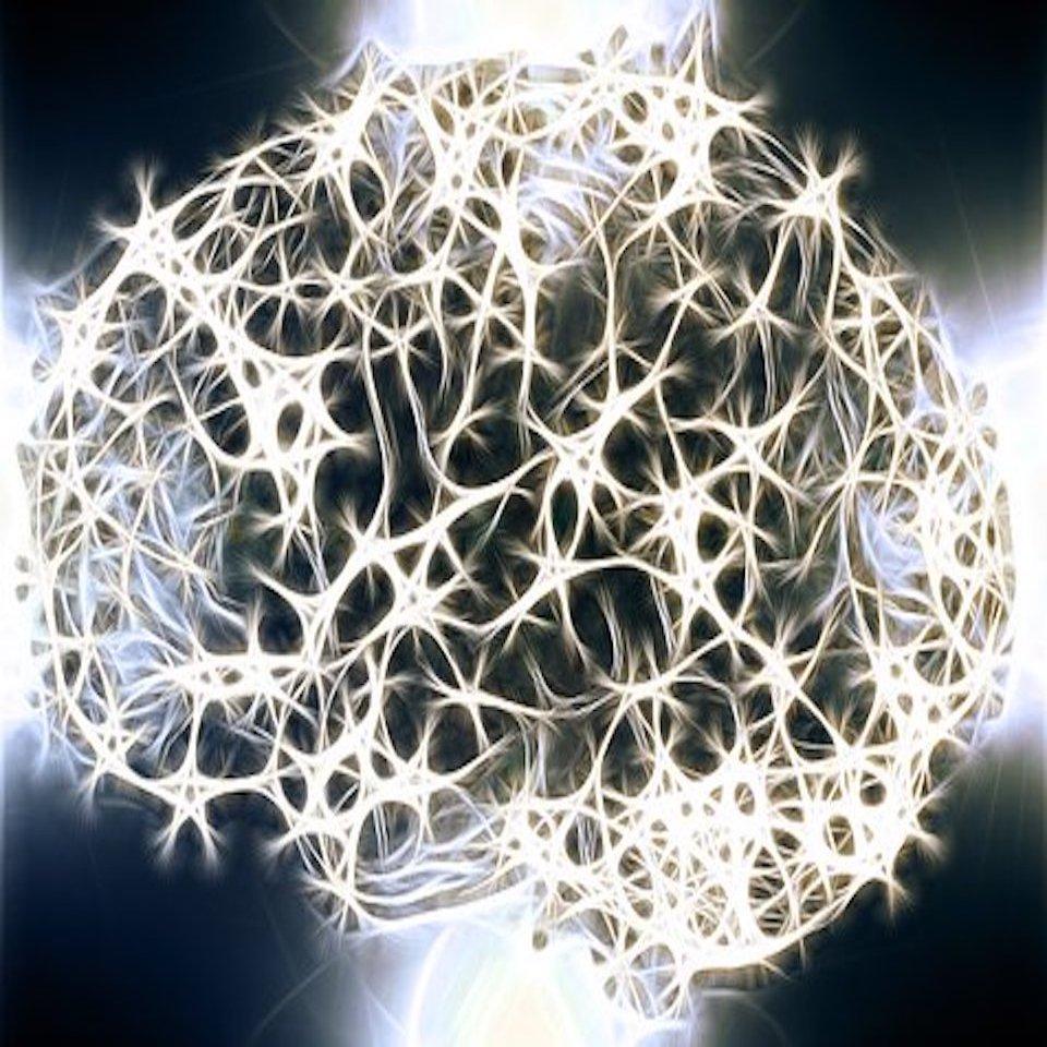 neurons