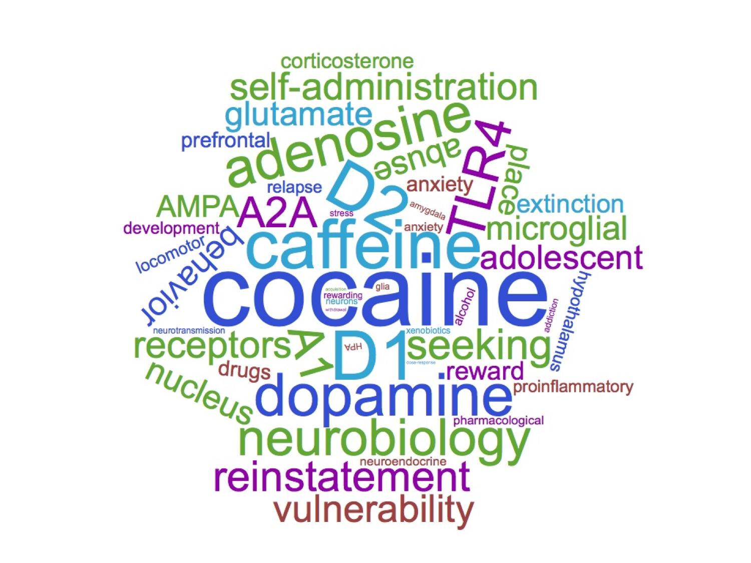 Word cloud of our common research topics including cocaine, caffeine, adenosine, dopamine, etc.