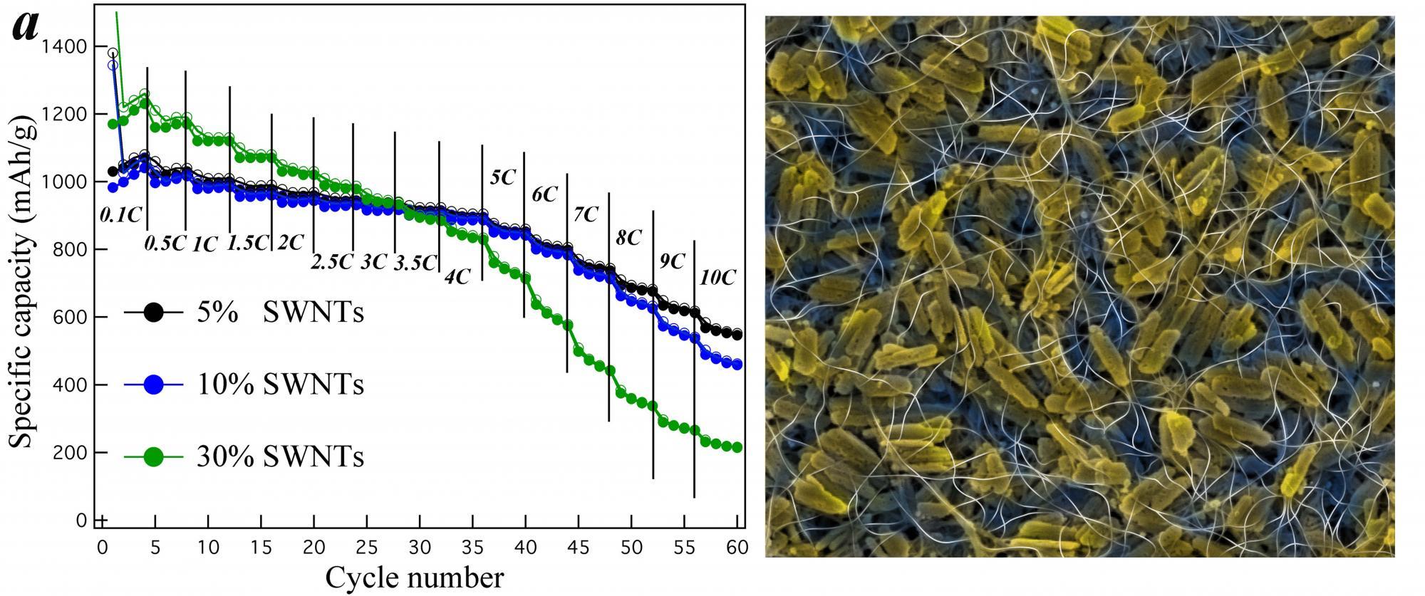 As cycle number increases the specific capacity lowers. A graphic on the right shows yellow shapes with lines across it.