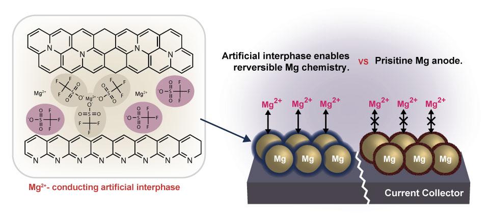 A diagram shows the structure of Mg conducting artificial interphase.