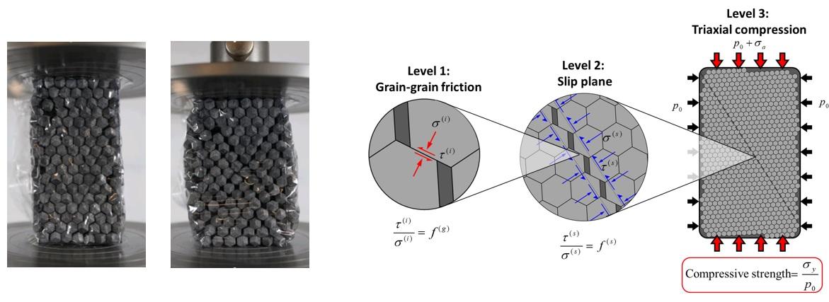 PNAS2023