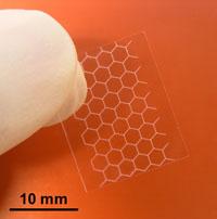 Scales_small