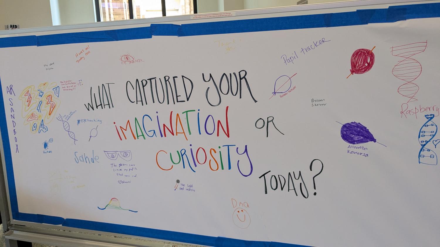 Picture of a board that say "what captured your imagination or curiosity today?" Many drawings on it including of DNA and many balloons with skewers them.
