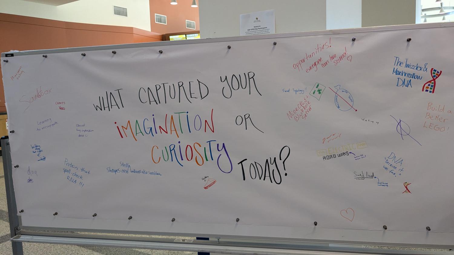 Picture of a board that say "what captured your imagination or curiosity today?" Many drawings on it including of DNA and many balloons with skewers them.