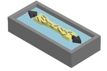 Diagram of stretching a biofilm