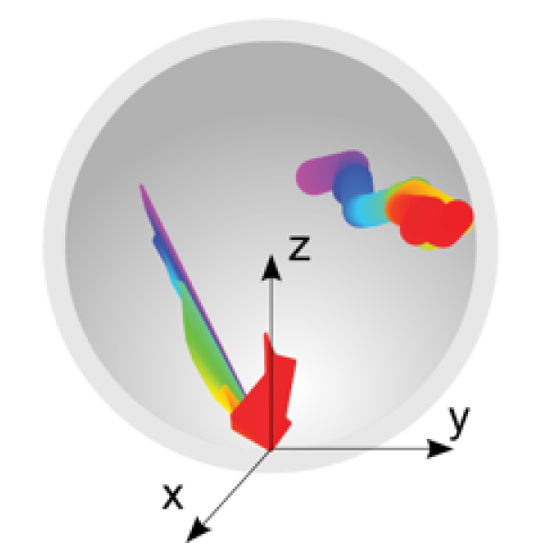 Cartoon of kinetichore diffusion and capture inside nuclear envelope
