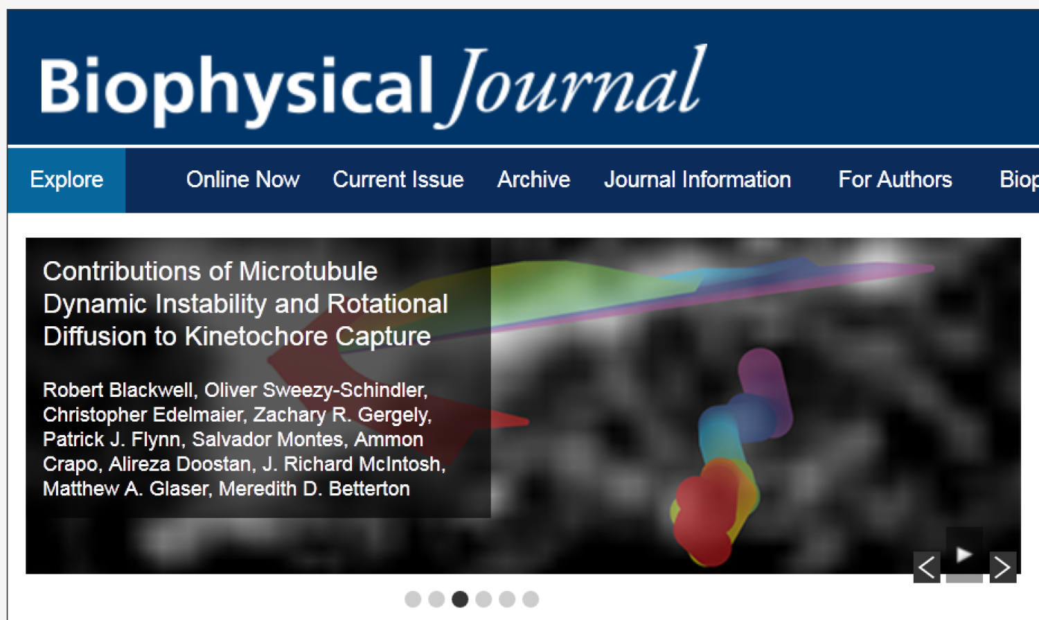Article highlight image.