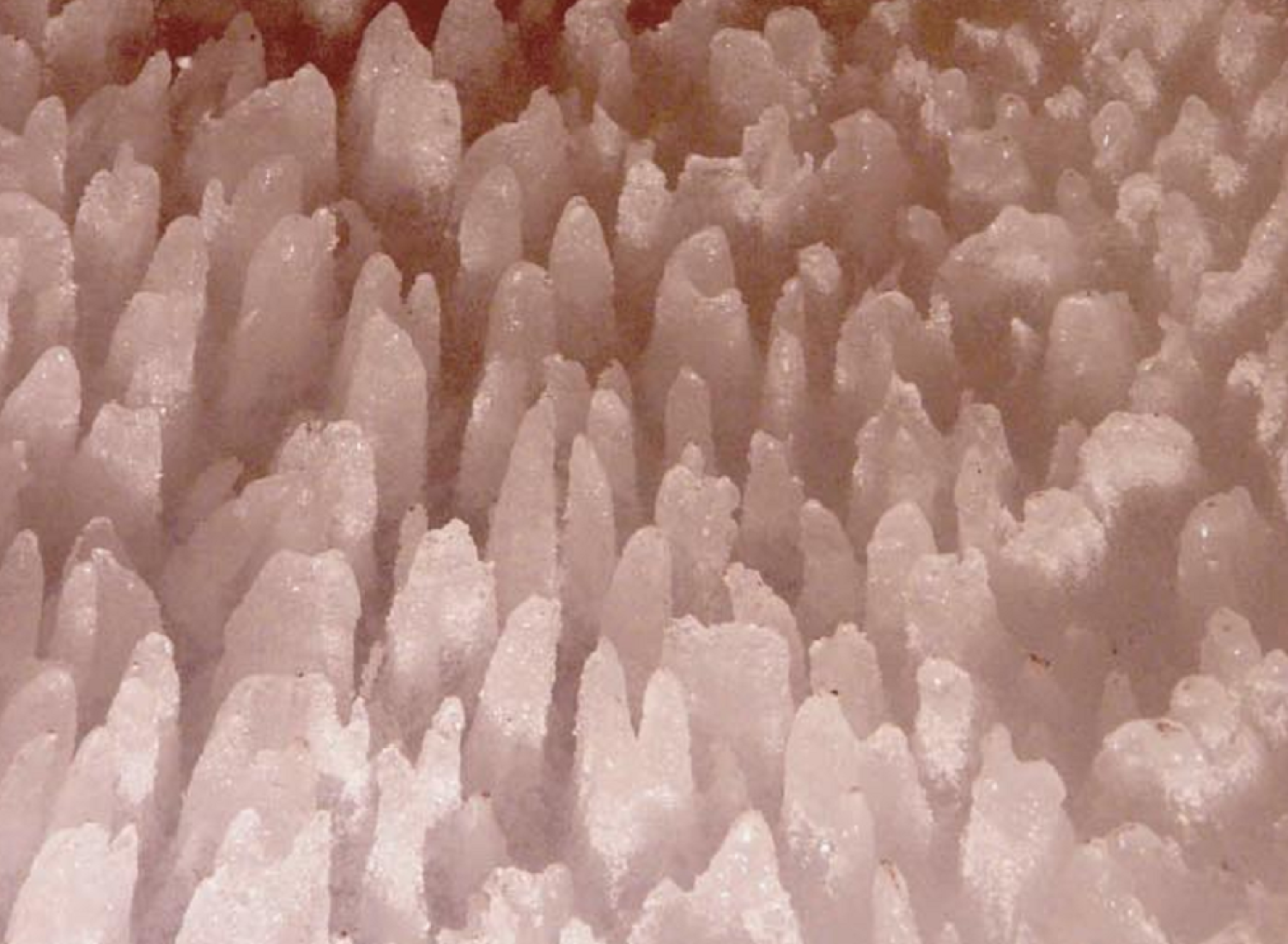 penitentes