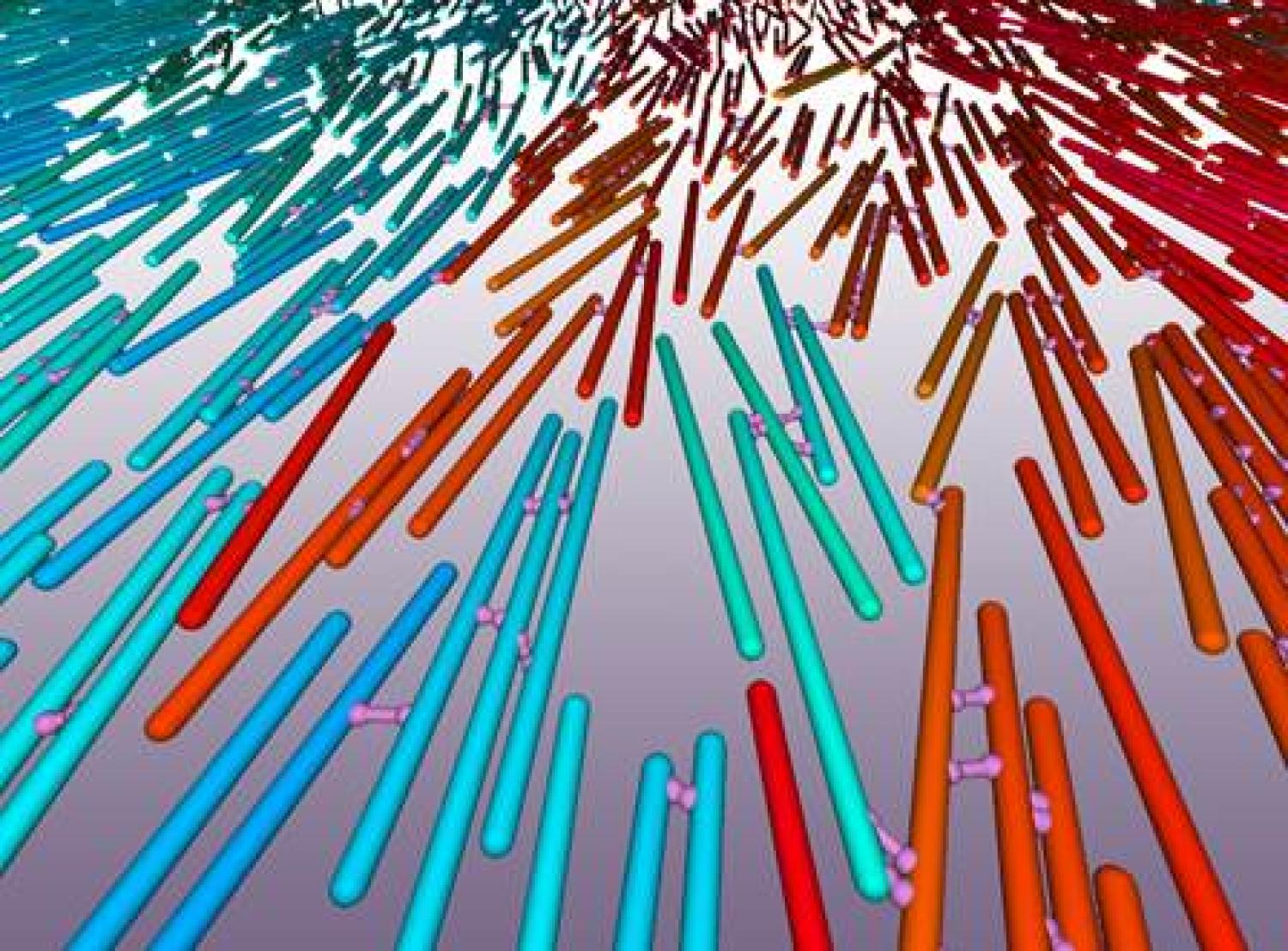 Filaments and motors image
