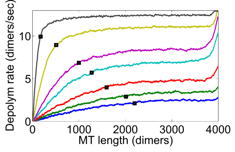 data plot