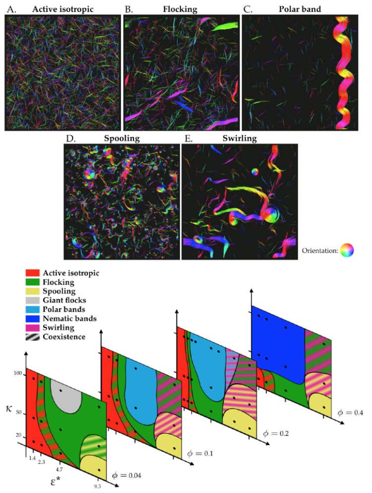 Main image from Moore et al. 2020