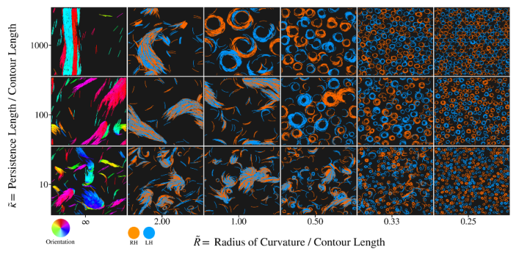 Main image from Moore et al. 2020
