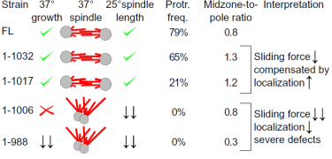 Summary table
