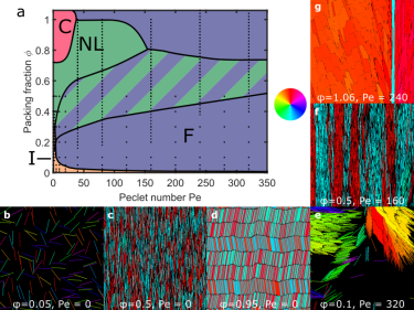 Phase diagram