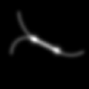 Image of mitotic spindle