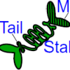 Cartoon of kinesin-5 motor