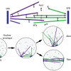 Model overview